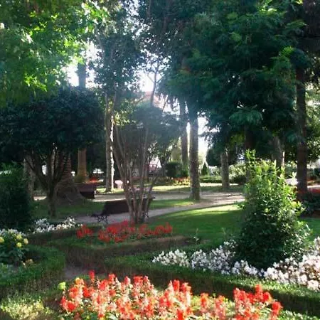 Iacobus Vut-co-00371o * Padrón